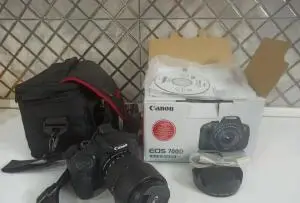 stock