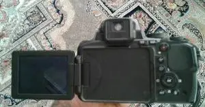 stock