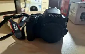 stock