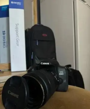 stock