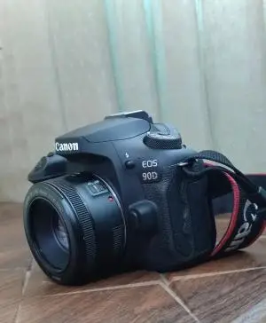stock