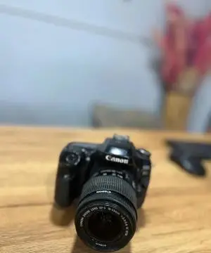 stock