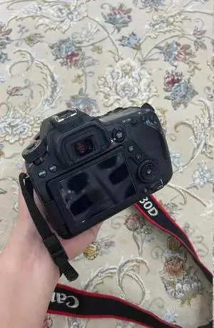stock