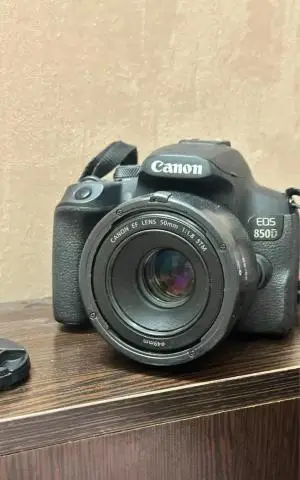 stock