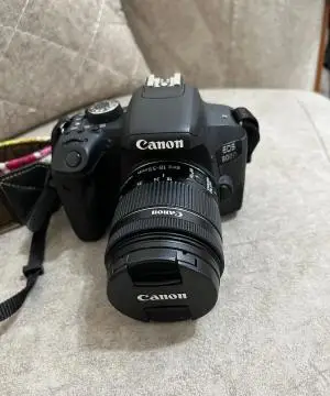 stock