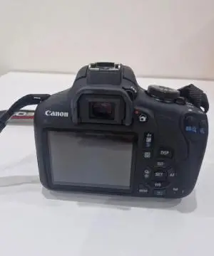 stock