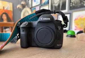 stock