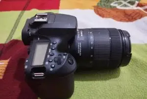 stock