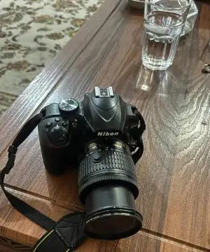 stock
