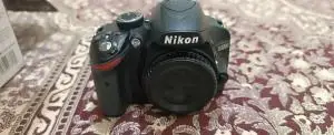 stock