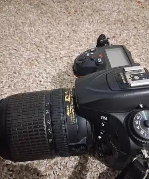 stock