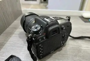 stock