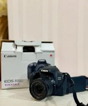 stock