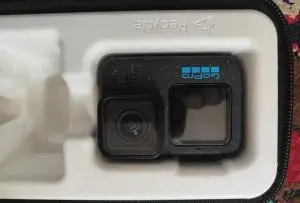 stock