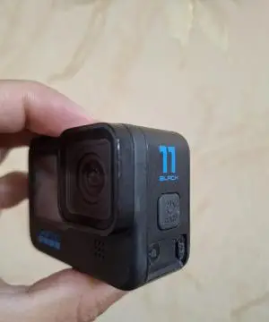 stock