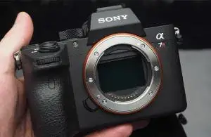 stock