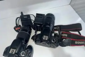 stock