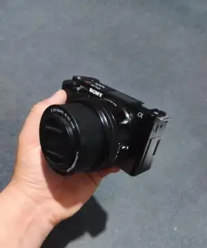 stock