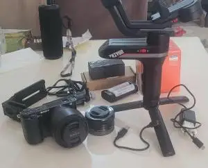 stock