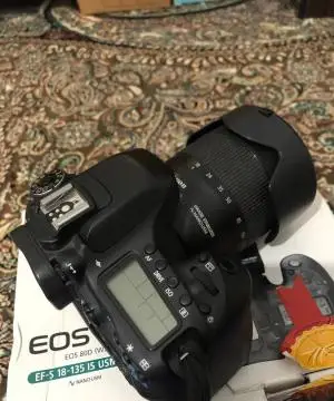 stock