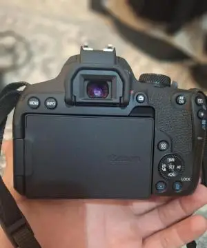 stock