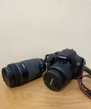 stock
