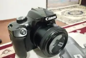 stock