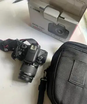 stock