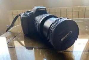 stock