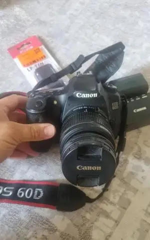 stock