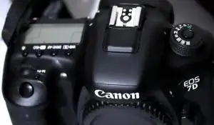stock