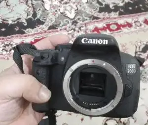 stock