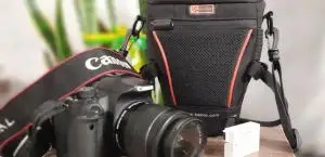stock