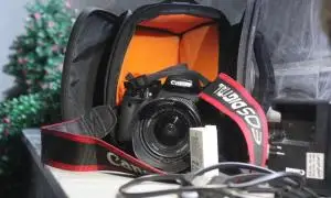 stock