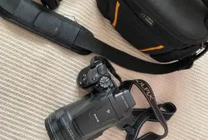 stock