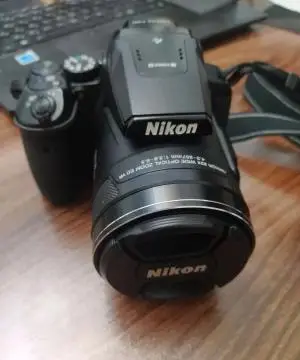 stock