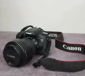 stock