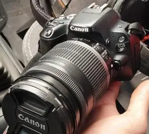 stock
