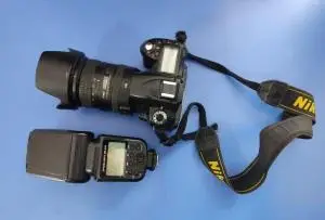 stock