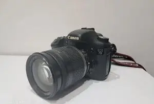 stock
