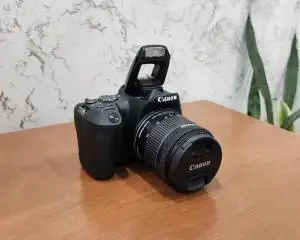 stock
