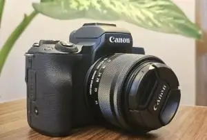 stock