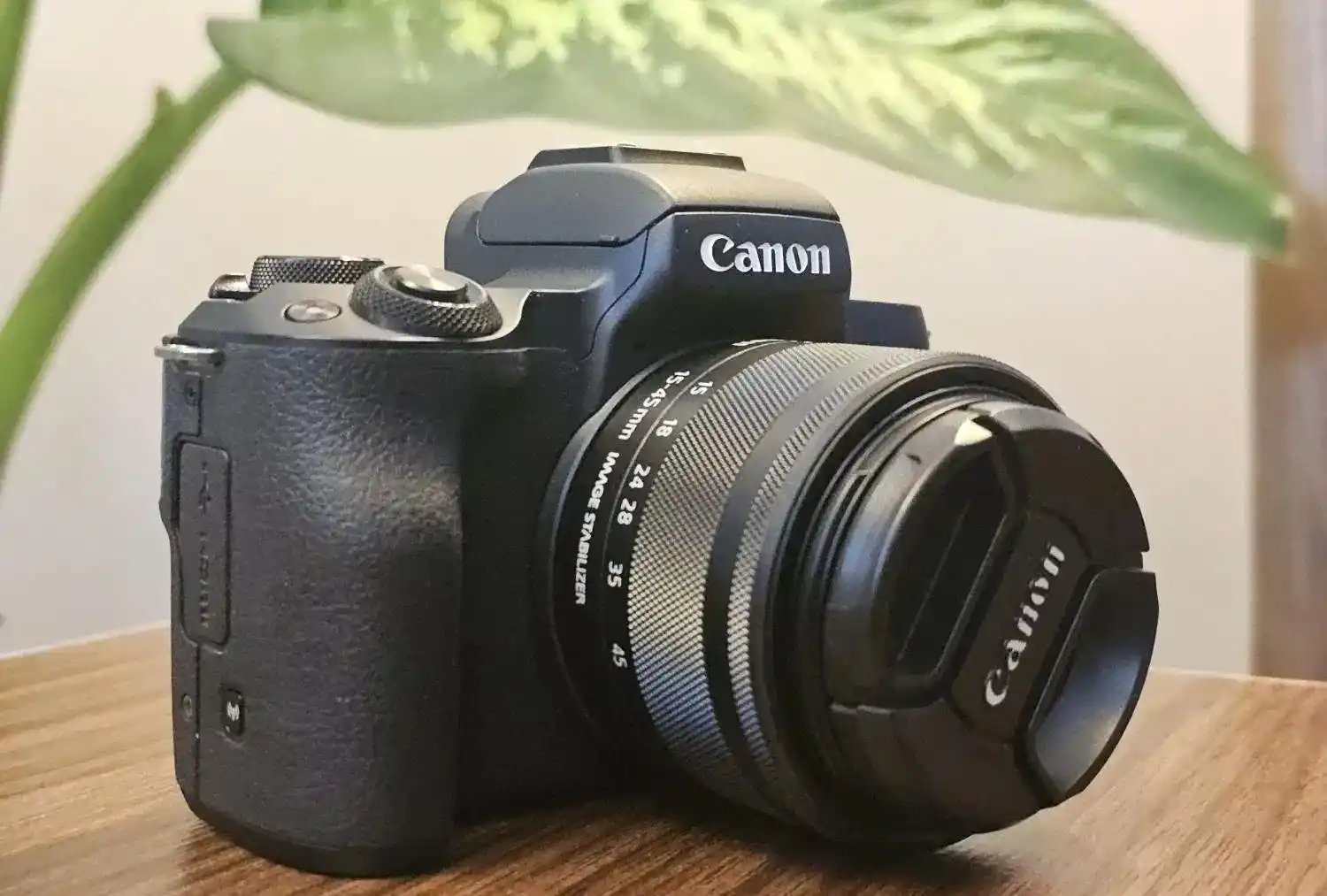Canon m50 II دست دو
