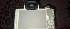 stock