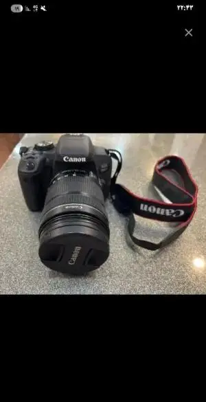 stock