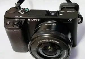 stock