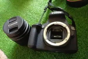 stock