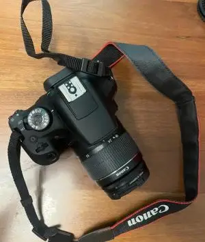 stock