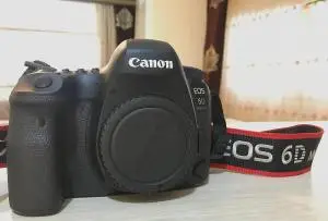 stock