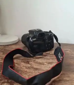 stock